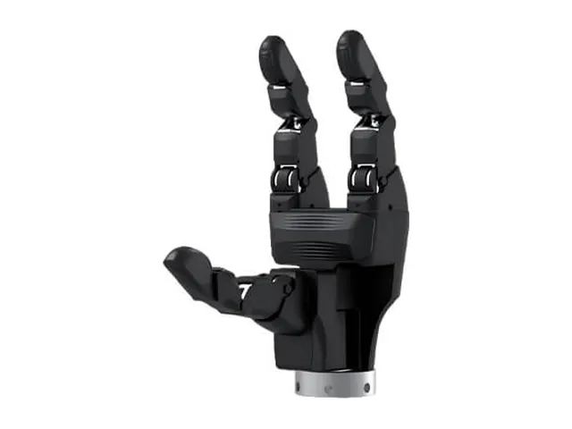 CASIA HAND G